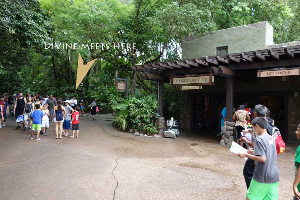 This is where I found DiVine in the Oasis on a recent visit. Turn right at entrance and she was on the right past Stoller/ECV rental.