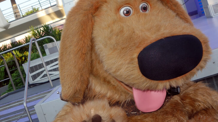 Limited Time Magic:  Dog Days of Summer at the Magic Kingdom.  Photos and Video