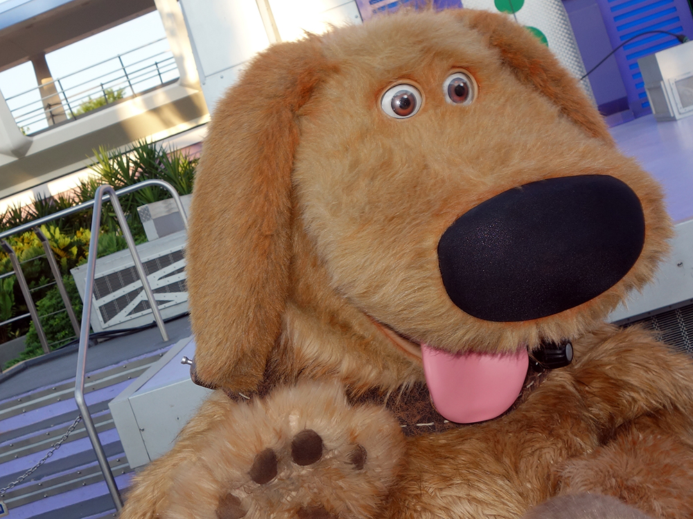 Dog Days Plush