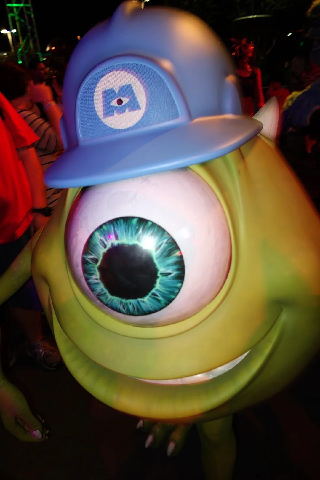 Mickey's Not So Scary Halloween Party 2013 (28)