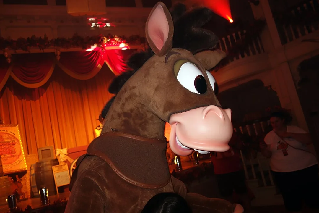 Mickey's Not So Scary Halloween Party 2013 (44)