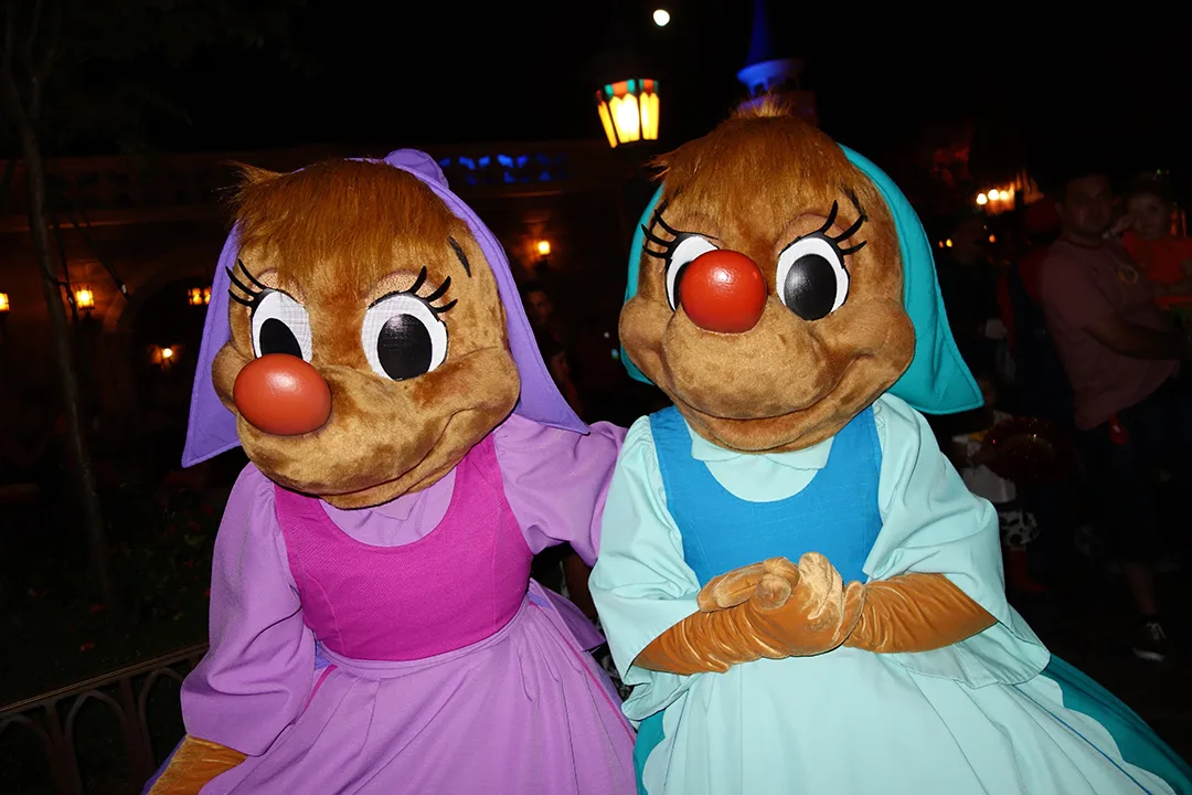 Mickey's Not So Scary Halloween Party 2013 (45)