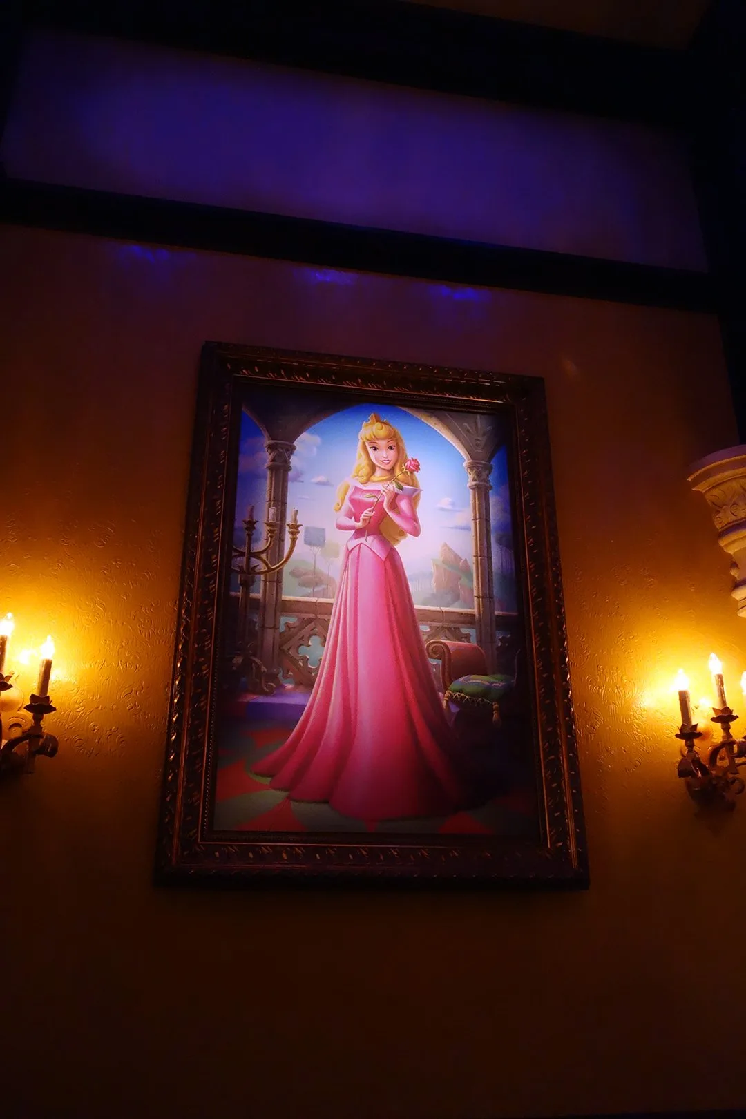 Aurora, remember to get in Cinderella line!