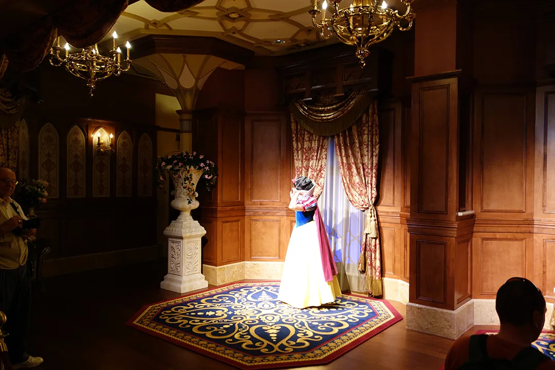 Another view of a Princess meet.