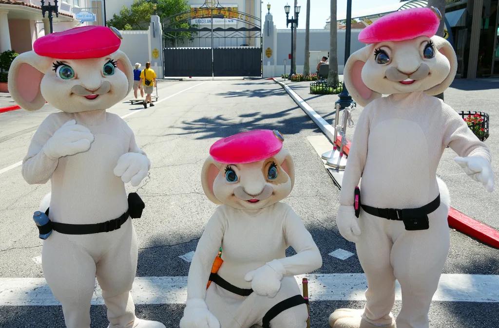 Pink Berets 2013