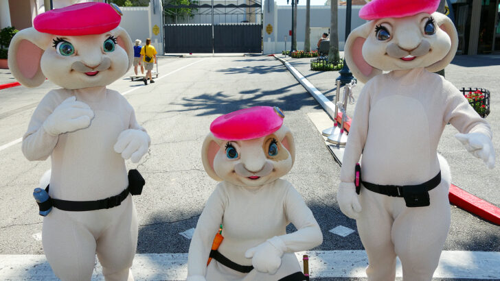 Pink Berets from Hop