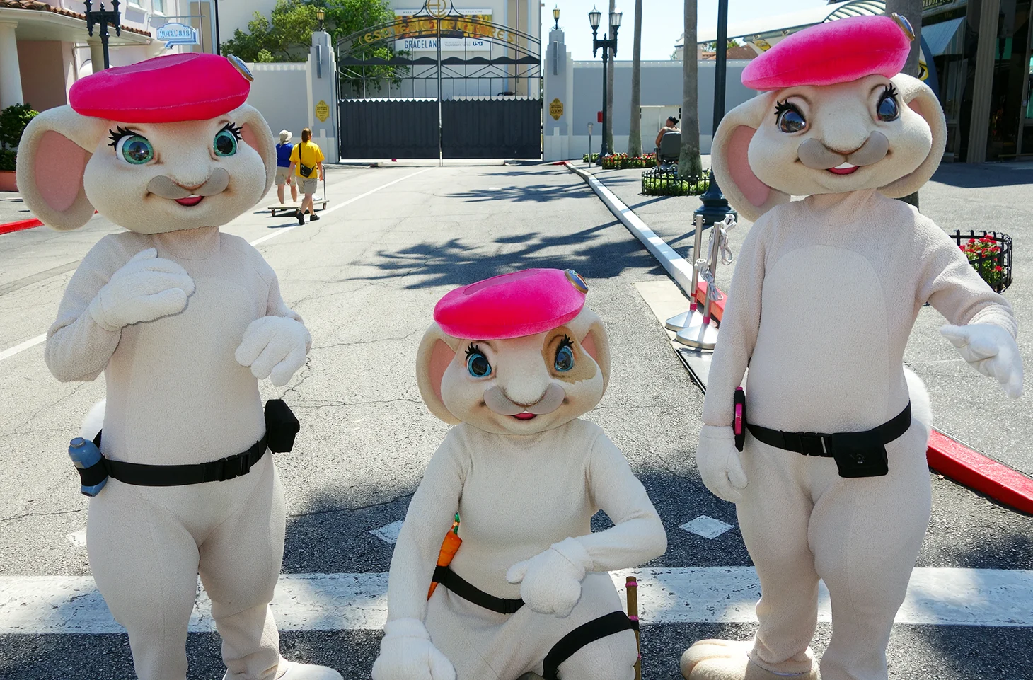 Pink Berets 2013