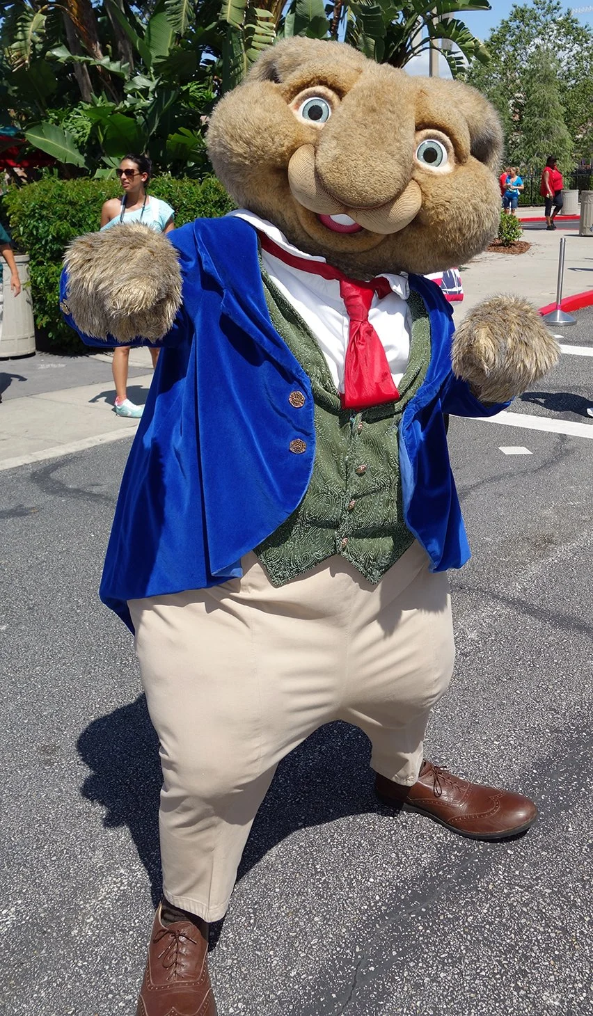 Mr. Bunny