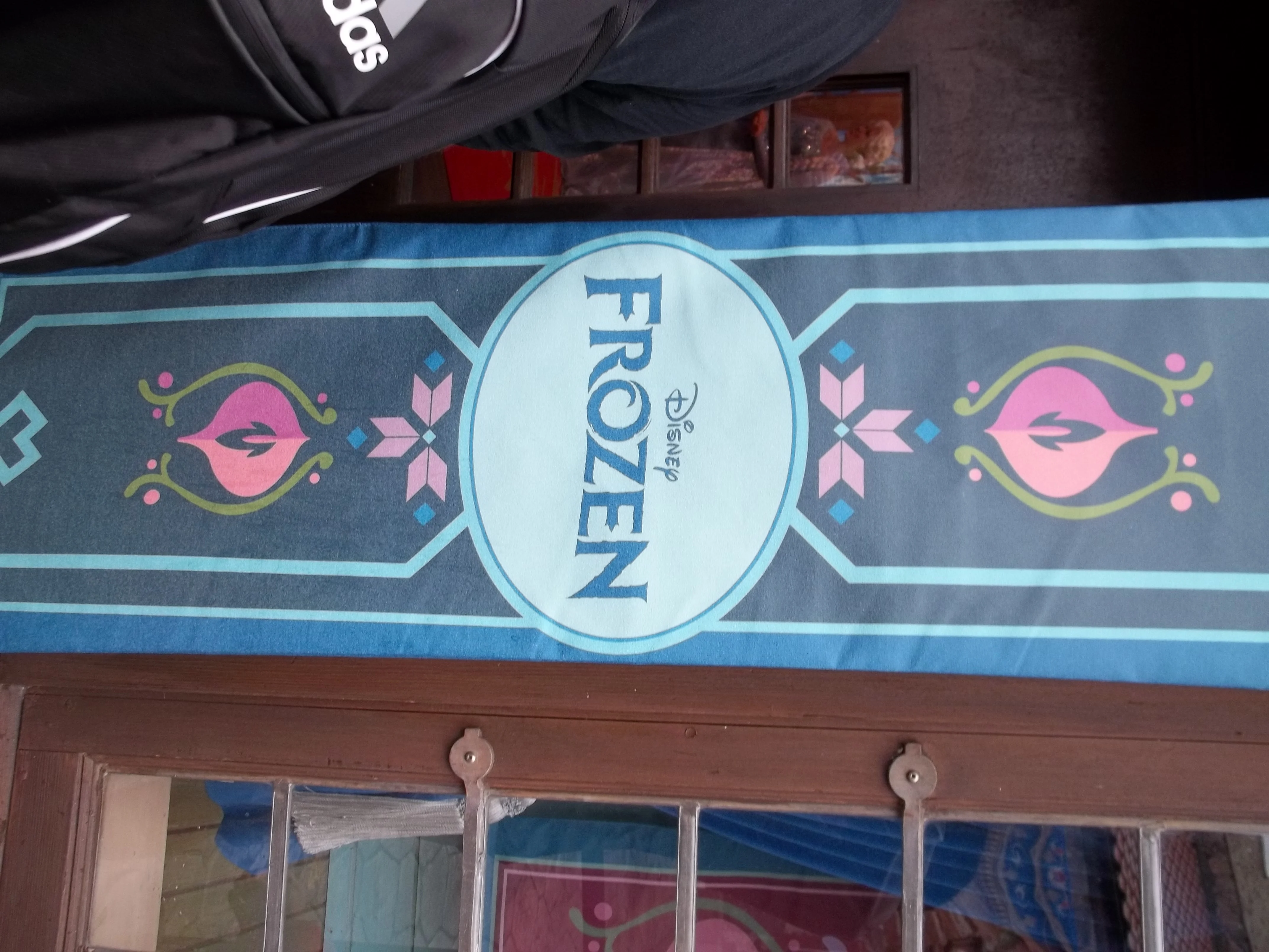 Anna and Elsa Frozen Meet in Epcot Norway