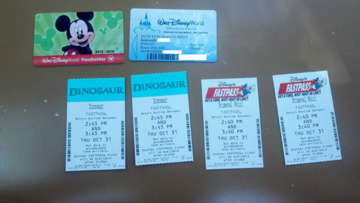 How to get 6 Fastpasses at ONCE at Animal Kingdom