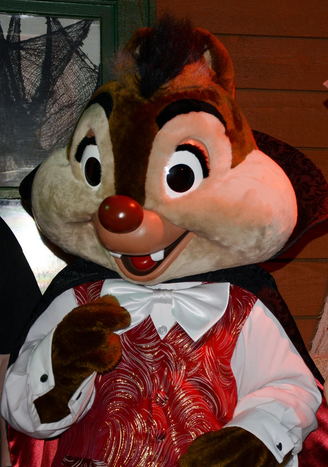 Walt Disney World, Character Meet and Greet, Halloween, Fort Wilderness Campfire, Vampire Chip