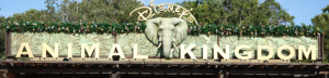 Disney's Animal Kingdom showtimes to adjust for the summer crowds