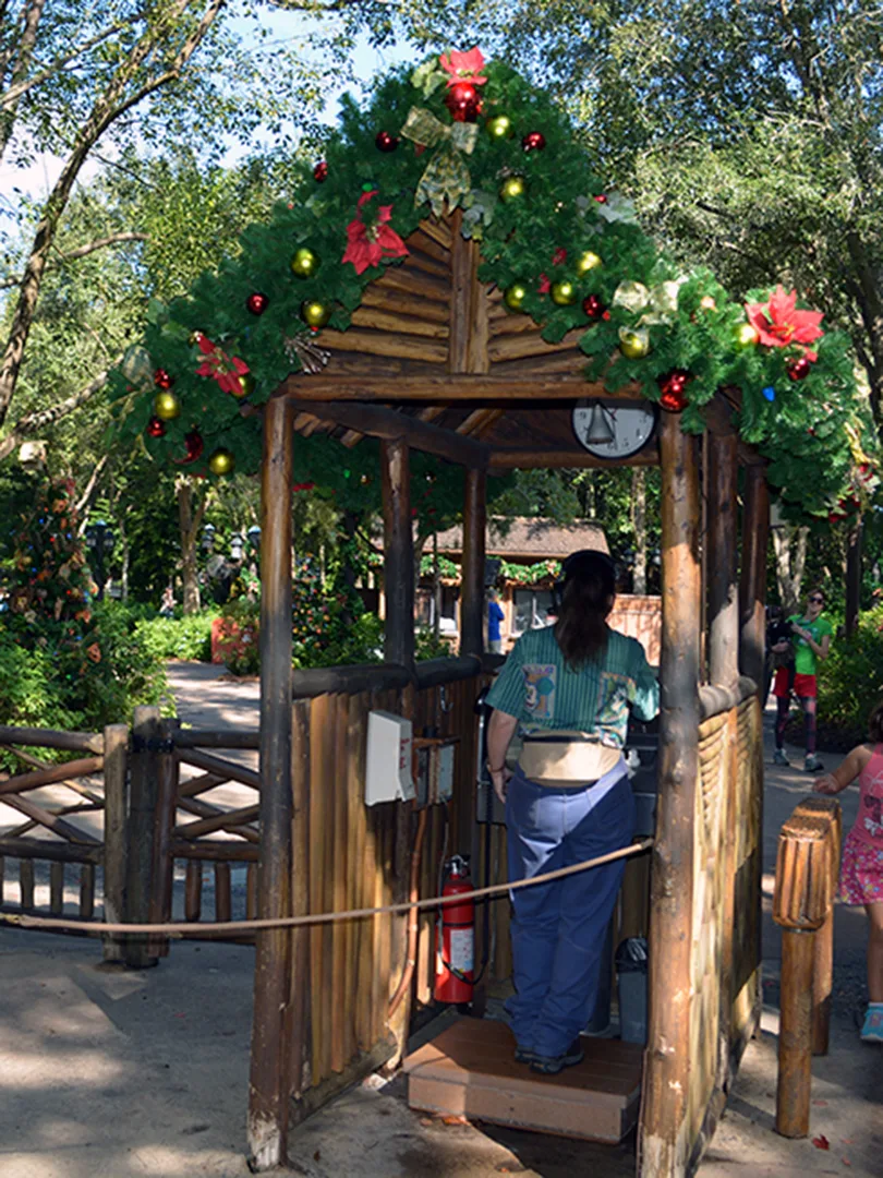 Walt Disney World, Animal Kingdom, Christmas 2013, Camp Minnie Mickey