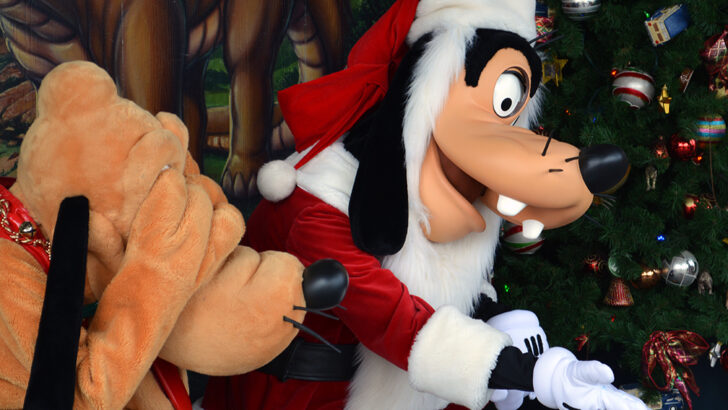 2014 Walt Disney World Christmas Resort Character Schedules and Touring Strategy