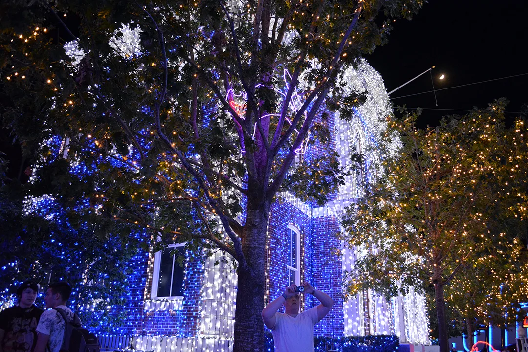 Walt Disney World, Hollywood Studios, Osborne Family Spectacle of Dancing Lights, Christmas Lights