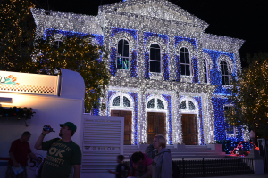 Walt Disney World, Hollywood Studios, Osborne Family Spectacle of Dancing Lights, Christmas Lights