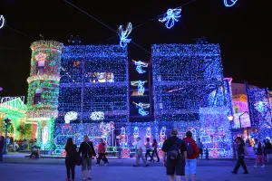 Walt Disney World, Hollywood Studios, Osborne Family Spectacle of Dancing Lights, Christmas Lights