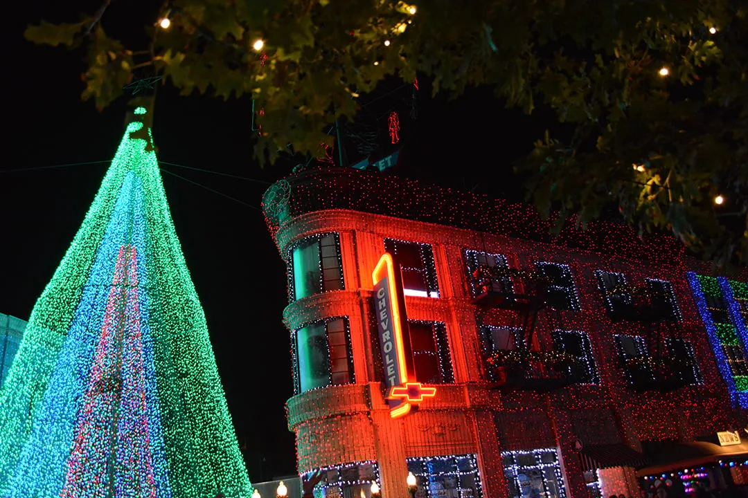 Walt Disney World, Hollywood Studios, Osborne Family Spectacle of Dancing Lights, Christmas Lights