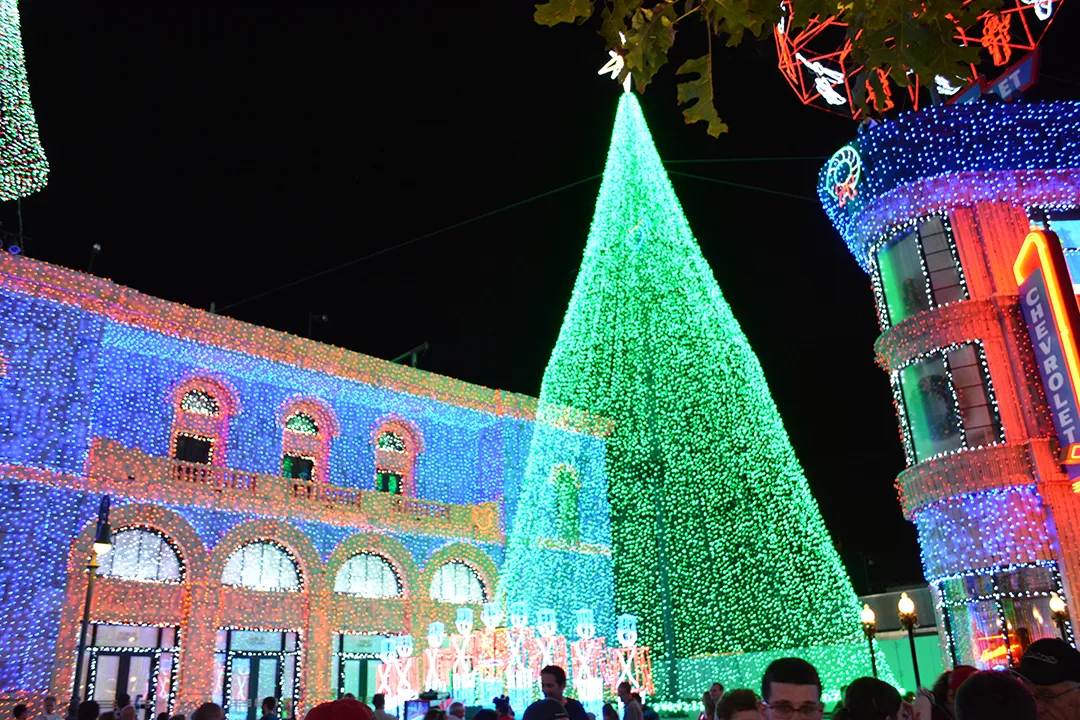 Walt Disney World, Hollywood Studios, Osborne Family Spectacle of Dancing Lights, Christmas Lights