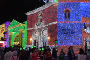 Walt Disney World, Hollywood Studios, Osborne Family Spectacle of Dancing Lights, Christmas Lights