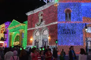 Walt Disney World, Hollywood Studios, Osborne Family Spectacle of Dancing Lights, Christmas Lights