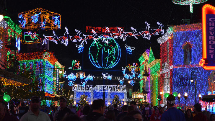 Walt Disney World, Hollywood Studios, Osborne Family Spectacle of Dancing Lights, Christmas Lights