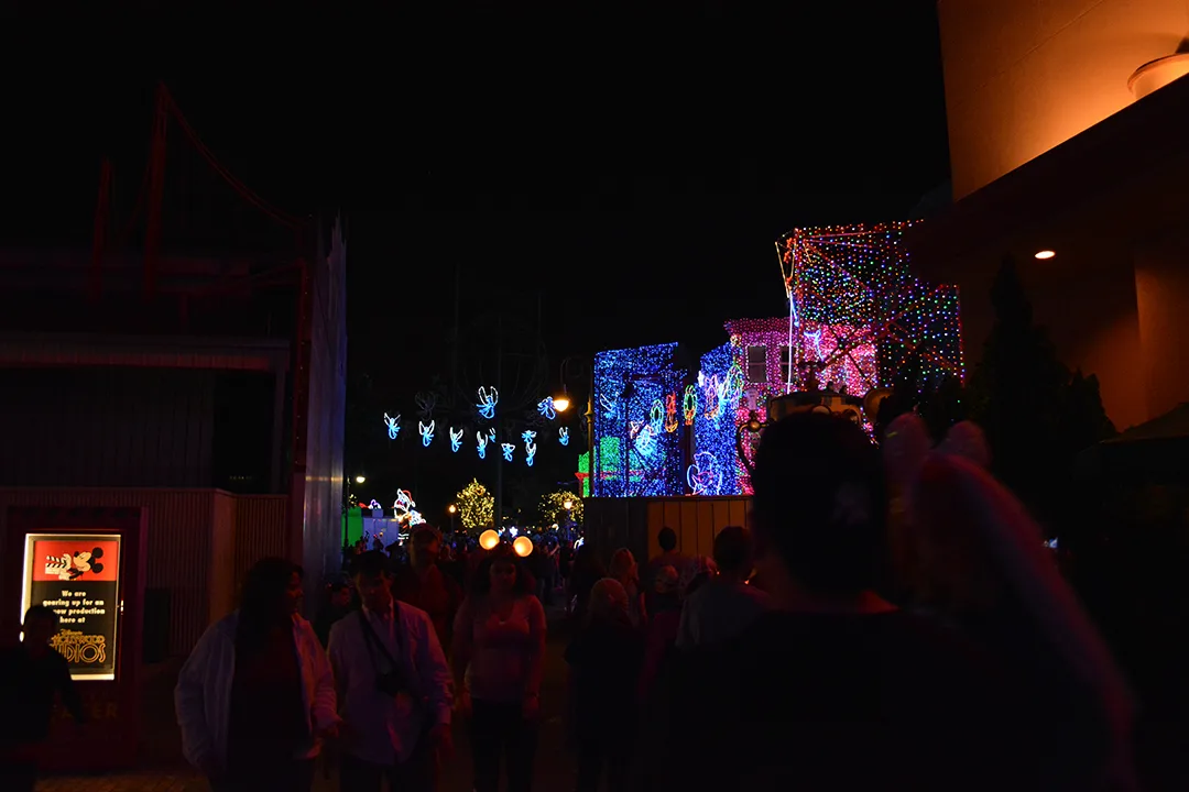 Walt Disney World, Hollywood Studios, Osborne Family Spectacle of Dancing Lights, Christmas Lights