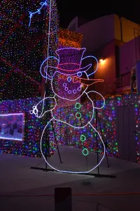 Walt Disney World, Hollywood Studios, Osborne Family Spectacle of Dancing Lights, Christmas Lights