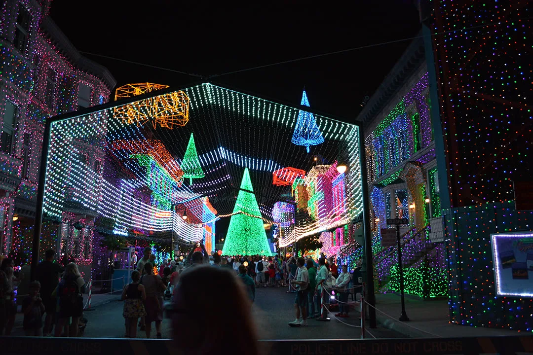 Walt Disney World, Hollywood Studios, Osborne Family Spectacle of Dancing Lights, Christmas Lights