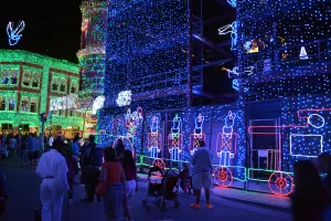 Walt Disney World, Hollywood Studios, Osborne Family Spectacle of Dancing Lights, Christmas Lights