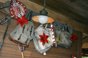 Walt Disney World, Magic Kingdom, Christmas, Jingle Cruise, 2013