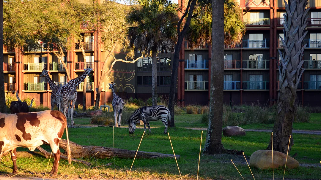 Animal Kingdom Lodge Kidani Christmas Characters and Christmas Decor (18)