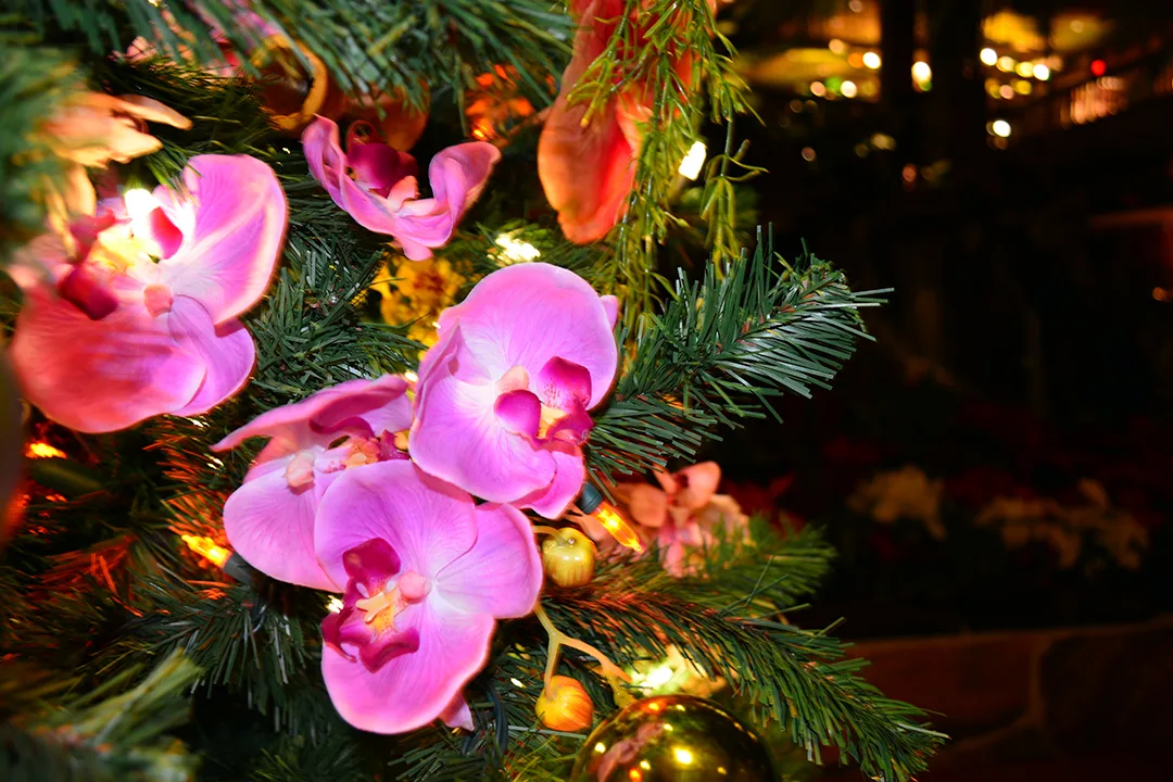 Polynesian Resort Christmas Characters and Christmas Decor (19)