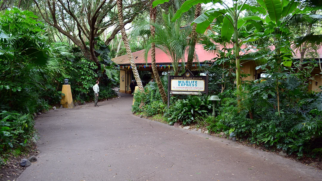 Walt Disney World Animal Kingdom Character Changes January 2014 (16)