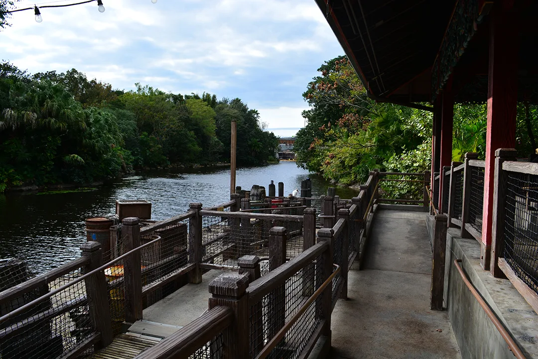 Walt Disney World Animal Kingdom Character Changes January 2014 (20)