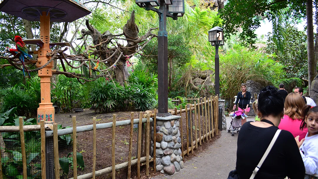 Walt Disney World, Animal Kingdom, Character Changes, January 2014, 