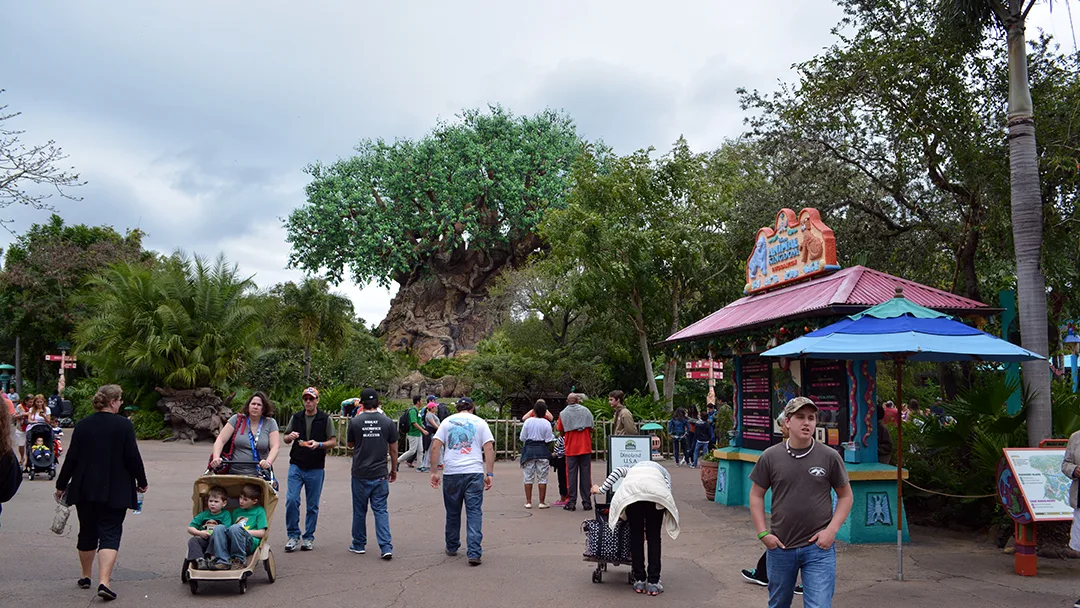 Walt Disney World Animal Kingdom Character Changes January 2014