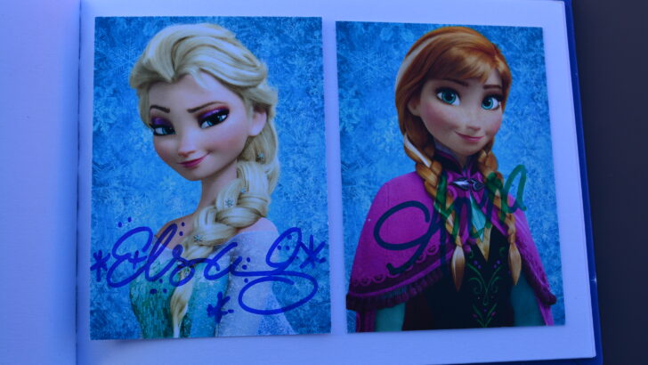 Why can’t I find Fastpass+ for Anna and Elsa?