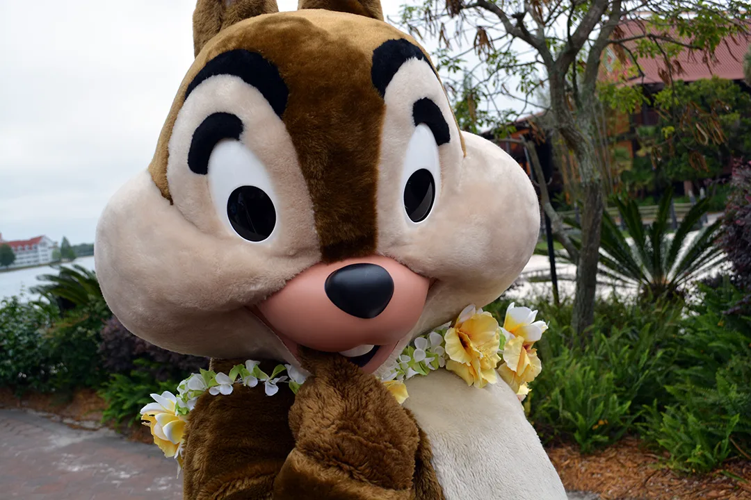 Easter Polynesian Resort character meet and greets Chip n Dale