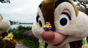 Easter Polynesian Resort character meet and greets Chip n Dale