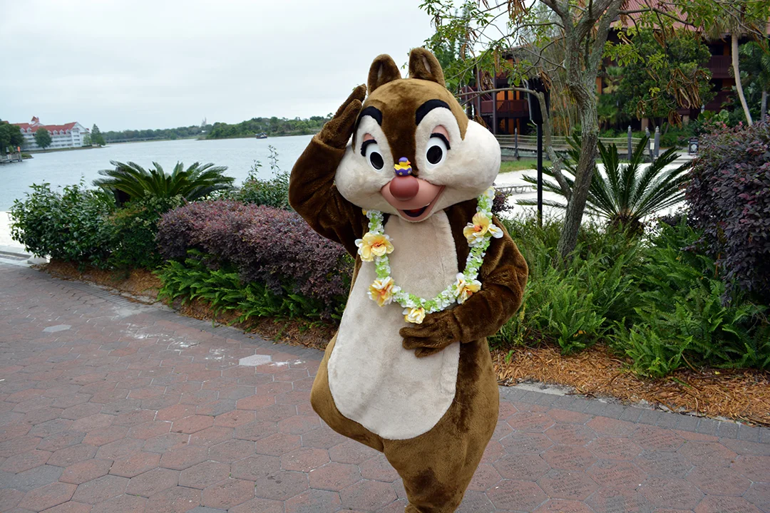 Easter Polynesian Resort character meet and greets Chip n Dale