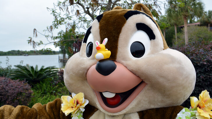 Easter Polynesian Resort character meet and greets Chip n Dale