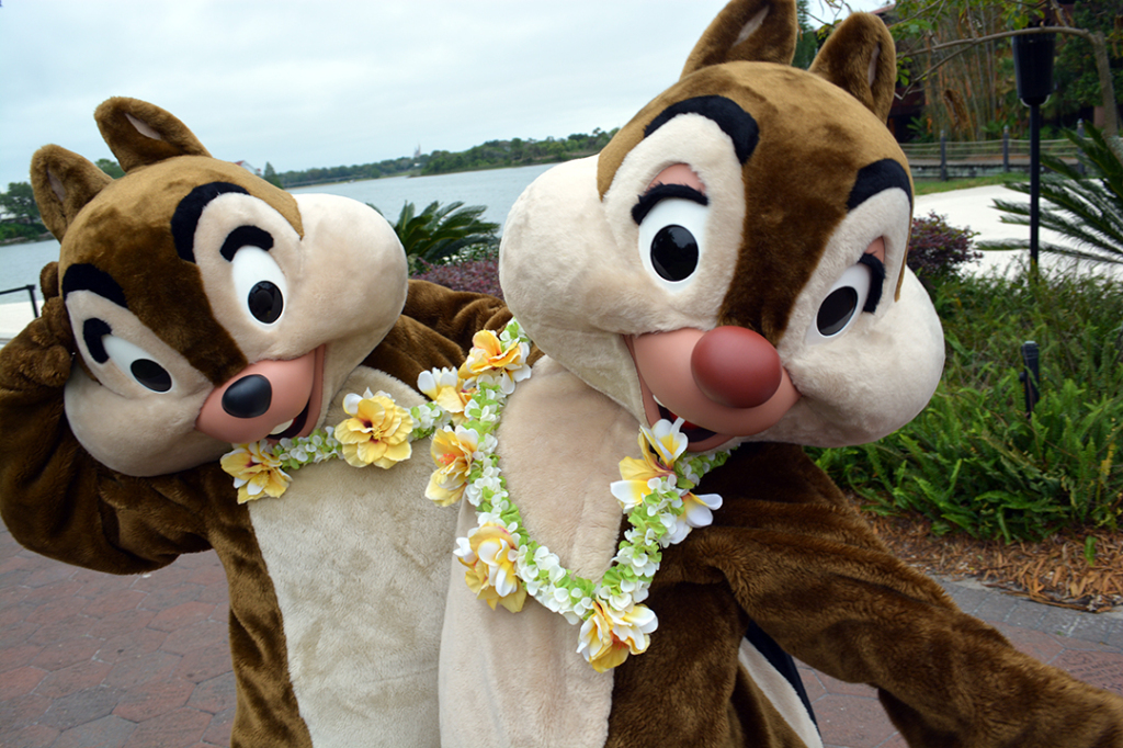 Easter Polynesian Resort character meet and greets Chip n Dale