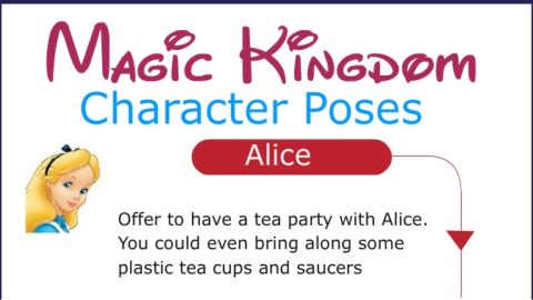 Magic Kingdom Character Photo Pose Ideas