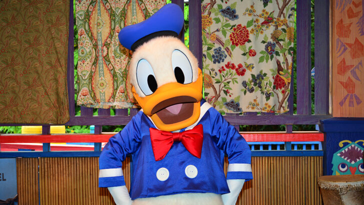 Donald, Daisy and Goofy change costumes and locations at Hollywood Studios
