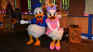 Photo of Daisy Duck and Donald Duck together at Disney's Animal Kingdom