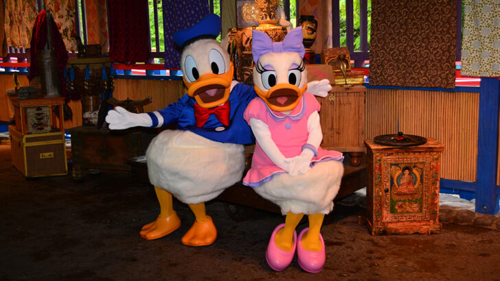 Daisy Duck and Donald Duck meet and greet at Animal Kingdom’s Discovery Island details