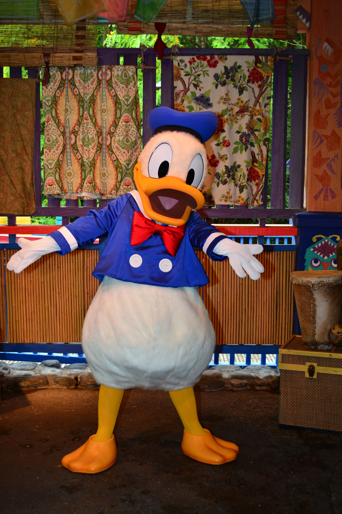 Sailor Donald Duck when he met at Animal Kingdom