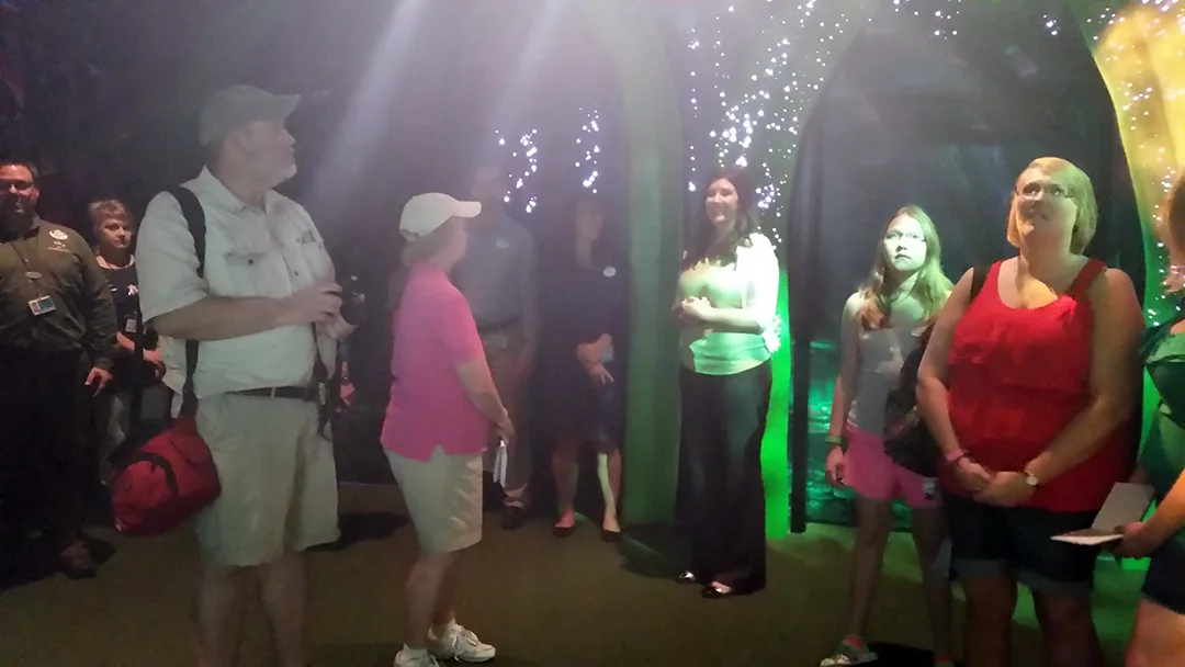 Meet Tinker Bell at Town Square Theater in Walt Disney World Magic Kingdom (12)