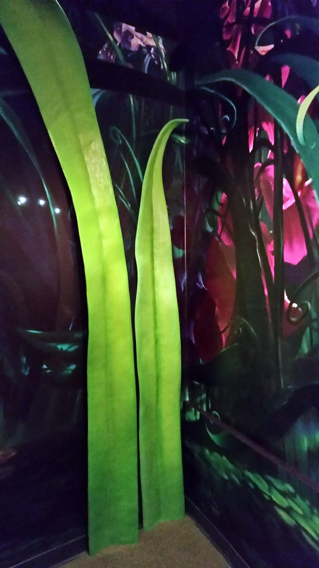 Meet Tinker Bell at Town Square Theater in Walt Disney World Magic Kingdom (9)